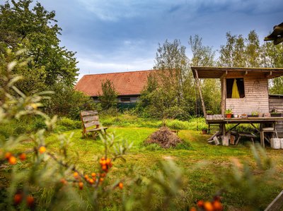 Prodej stavební parcely 3600 m² Borovany