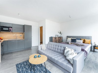 Pronájem bytu 1+kk, garsoniery, 37m²