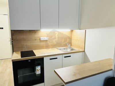 Pronájem bytu 1+kk, garsoniery 20 m² Praha