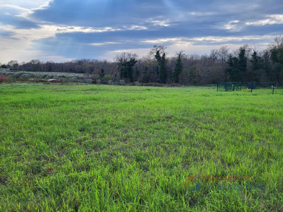 Prodej stavební parcely, 708m²