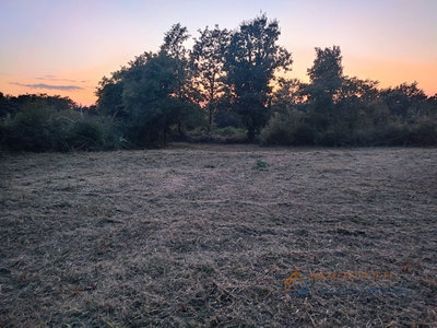 Prodej stavební parcely, 1000m²