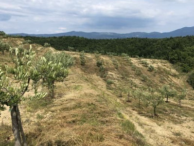 Prodej stavební parcely, 117535m²