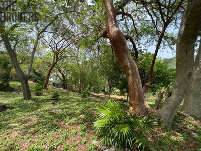 Prodej stavební parcely, 1821m²