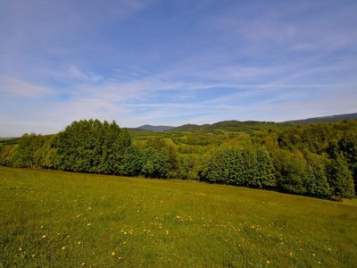 Prodej louky 45289 m² Lánov