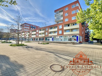 Pronájem bytu 1+kk, garsoniery 35 m² Mladá Boleslav