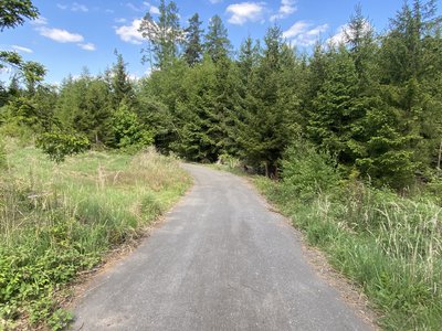 Prodej lesa 287 m² Kladruby
