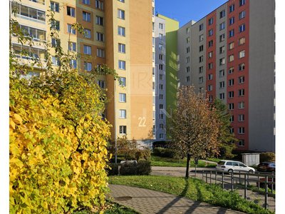 Prodej bytu 1+kk, garsoniery 31 m² Brno