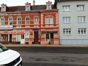 Prodej rodinného domu 600 m² Sokolov