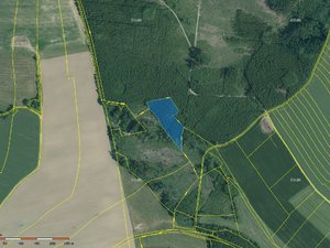 Prodej lesa 8614 m² Jarošov nad Nežárkou