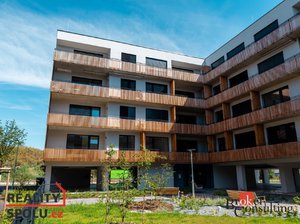 Pronájem bytu 1+kk, garsoniery 54 m² Plzeň