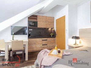 Prodej hotelu, penzionu 25 m² Harrachov