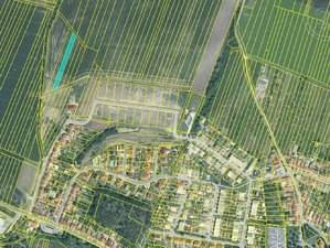 Prodej zemědělské půdy 14634 m² Dolní Němčí