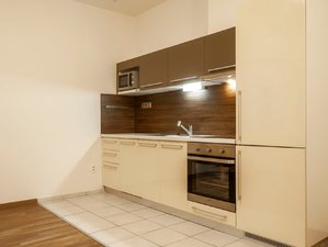 Pronájem bytu 1+1 42 m² Ostrava