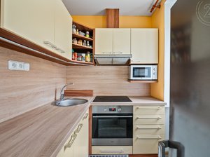 Prodej bytu 1+1 48 m² Brno