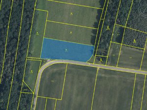 Prodej zemědělské půdy 4802 m² Senice na Hané