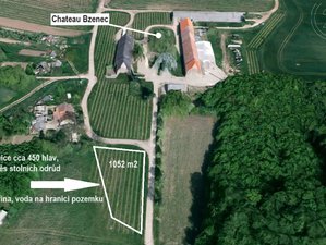 Prodej zemědělské půdy 1129 m² Bzenec