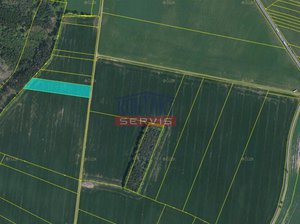 Prodej zemědělské půdy 5376 m² Sedlec