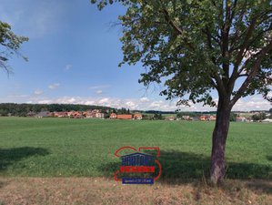 Prodej zemědělské půdy 8823 m² Litvínovice