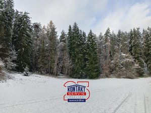 Prodej lesa 14776 m² Horní Bukovina