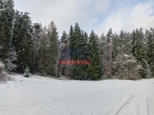 Prodej lesa 14776 m² Horní Bukovina