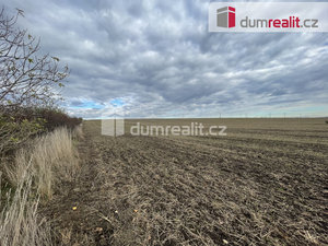 Prodej zemědělské půdy 13502 m² Hustopeče
