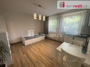 Pronájem bytu 1+kk, garsoniery 25 m² Velké Bílovice