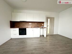 Pronájem bytu 2+kk 50 m² Lovosice