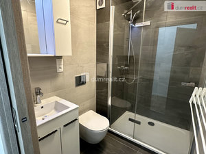 Pronájem bytu 1+kk, garsoniery 20 m² Ostrov