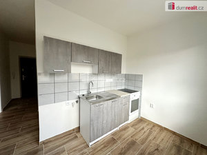 Pronájem bytu 2+1 56 m² Bílina