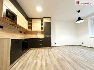 Pronájem bytu 2+kk 73 m² Děčín