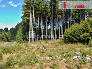 Prodej lesa 11657 m² Šanov