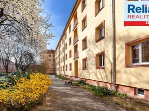 Prodej bytu 3+1 73 m² Pardubice