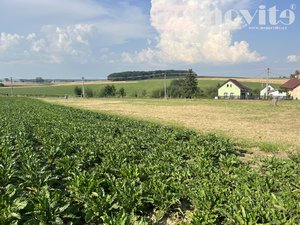 Prodej stavební parcely 974 m² Mžany