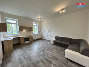 Pronájem bytu 1+kk, garsoniery 36 m² Ostrava