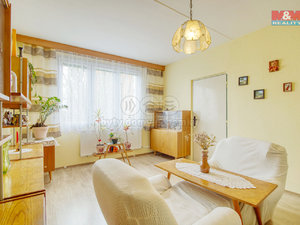 Prodej bytu 2+1 48 m² Tachov