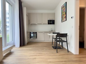 Pronájem bytu 1+kk, garsoniery 37 m² Praha