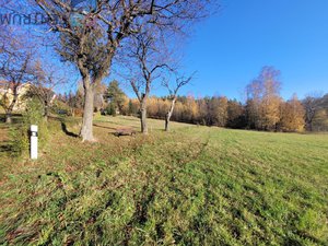 Prodej louky 6834 m² Železný Brod