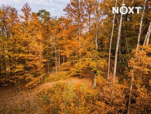 Prodej lesa 13718 m² Ostřetín