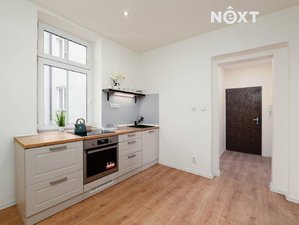 Pronájem bytu 1+1 30 m² Plzeň
