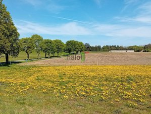 Prodej zemědělské půdy 207040 m² Popelín