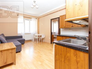 Pronájem bytu 1+1 50 m² Praha