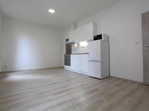 Pronájem bytu 1+kk, garsoniery 43 m² Brno
