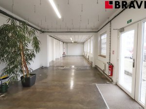 Pronájem Ostatních komerčních prostor 125 m² Brno