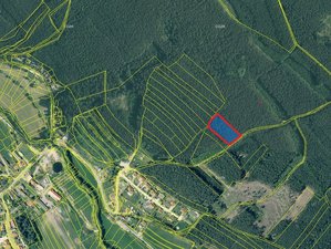 Prodej lesa 5179 m² Nevřeň