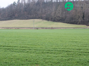 Prodej zemědělské půdy 131553 m² Kunčice nad Labem