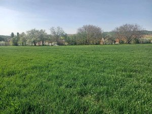 Prodej ostatních pozemků 7512 m² Tvarožná