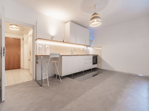 Pronájem bytu 1+1 40 m² Praha