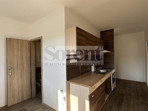 Prodej bytu 1+1 46 m² Loučovice