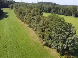 Prodej louky 4295 m² Nedabyle