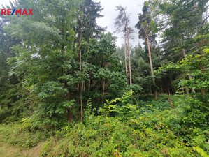 Prodej lesa 9227 m² Radošovice